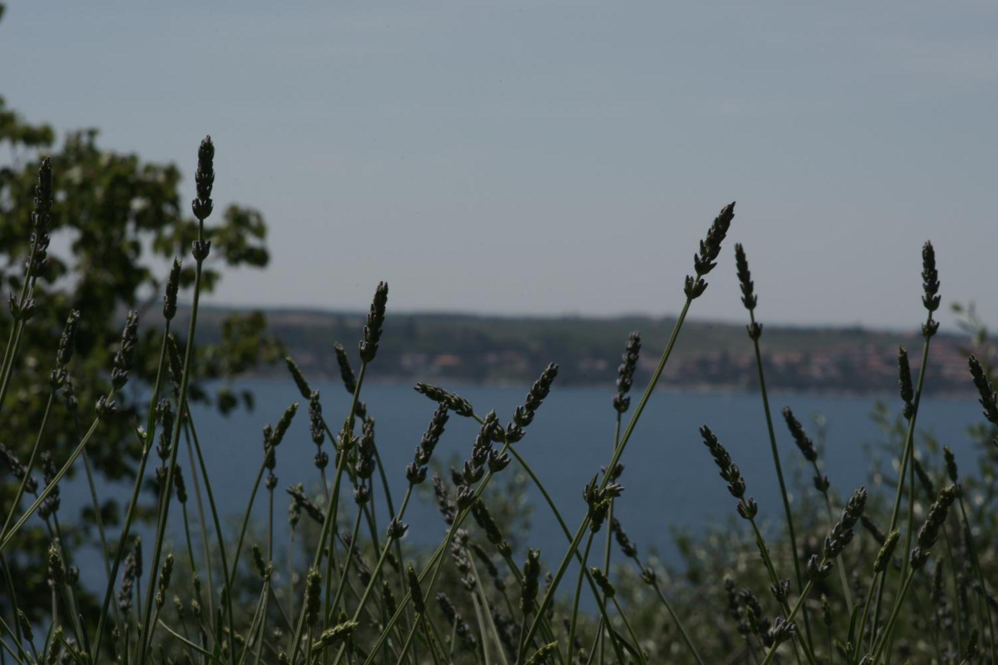 Apartments Hafner Portorož Zewnętrze zdjęcie